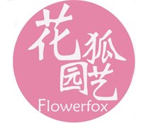 花狐