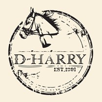 D-HARRY(迪哈利)