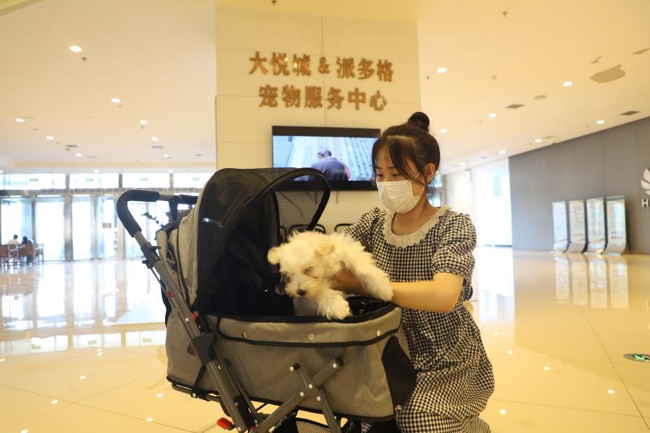 烟台大悦城：创建烟台首个宠物友好型购物中心