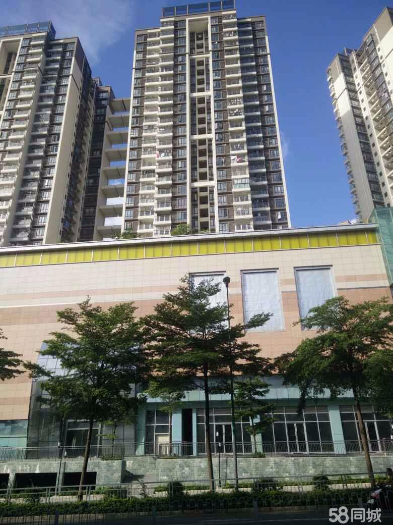 商业楼层-1层到4层 连锁项目否 所在城市广东深圳 项目地址宝安区新安