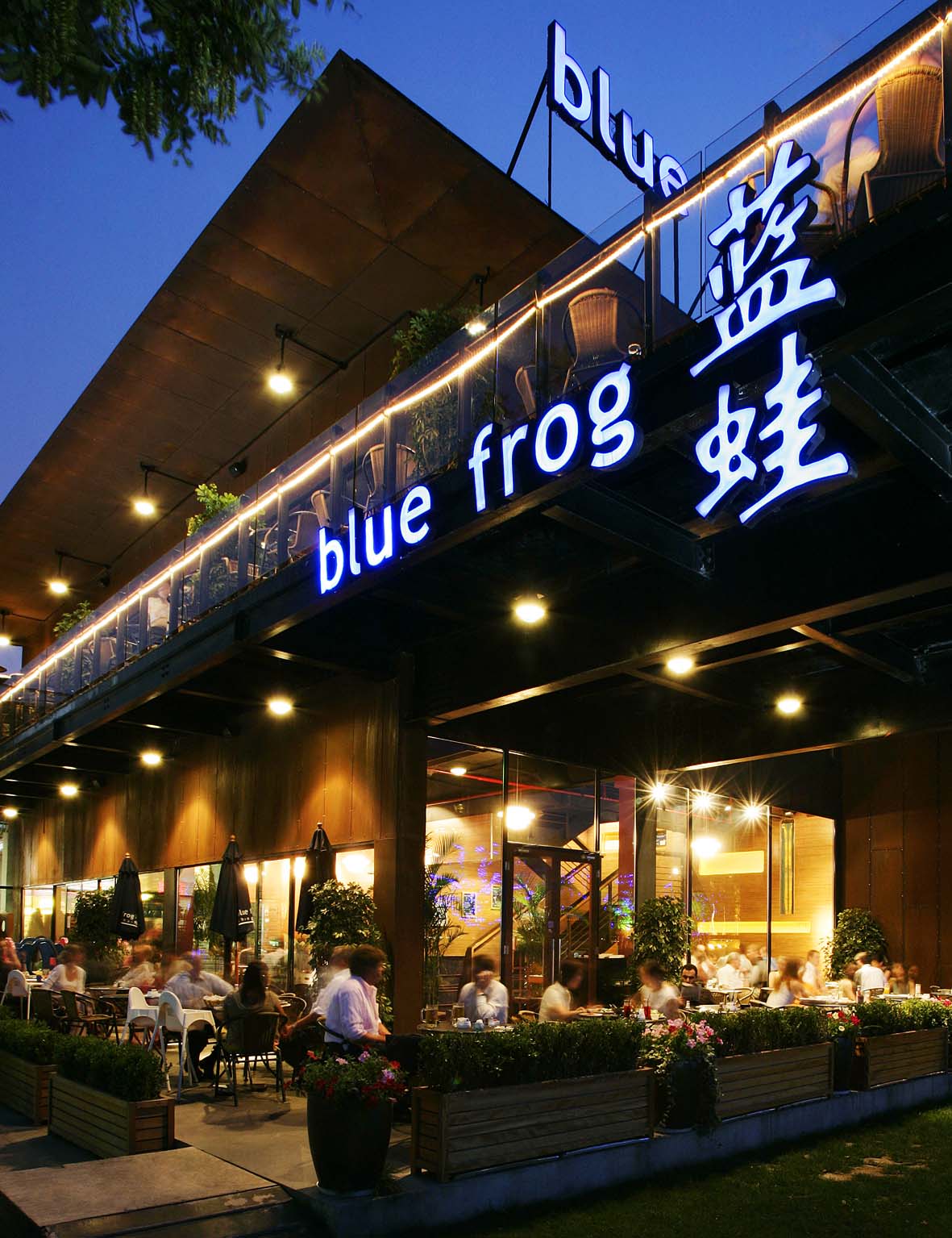 成都蓝蛙西餐厅图片