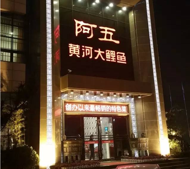 阿五黄河大鲤鱼