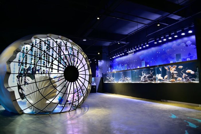 赢商大数据_帆鲨海洋文化馆(帆鲨水族)_简介_电话_门店分布_选址标准