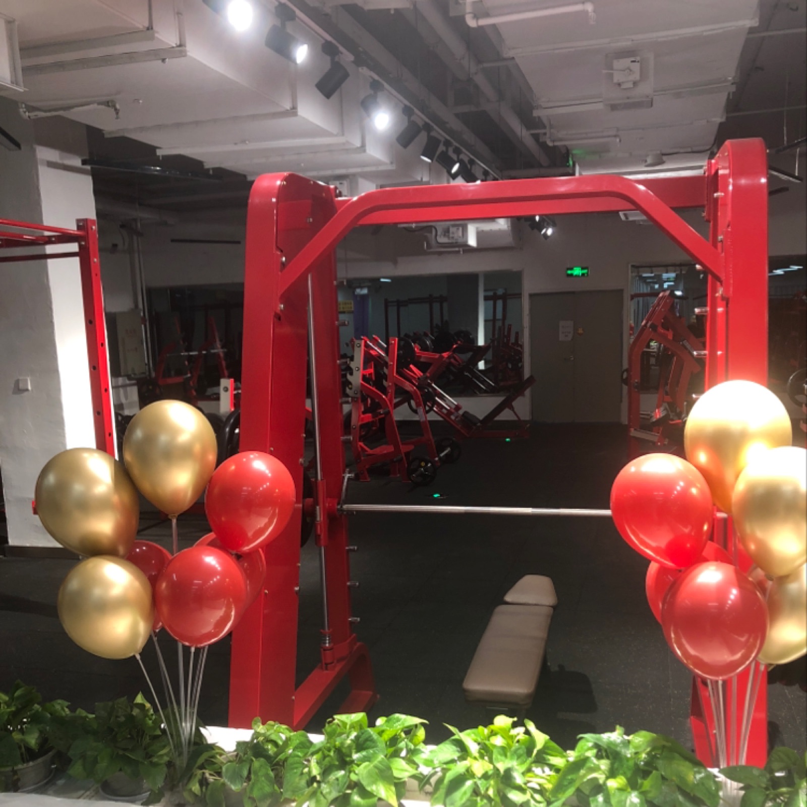 星洲健身会所(星洲游泳健身)